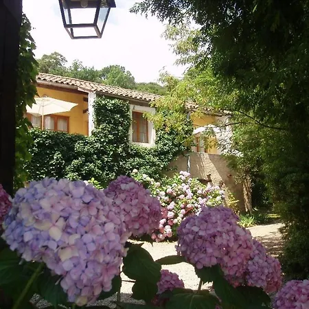 Bed & Breakfast La Cerisaie - D'hotes &