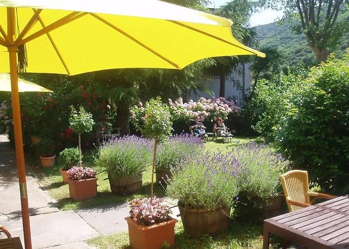 Bed & Breakfast La Cerisaie - D'hotes &